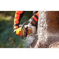 STIHL MS 362 Image #3