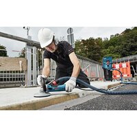 Bosch GBR 15 CA Professional (0601776000) Image #8