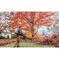 STIHL BR 800 C-E Image #6